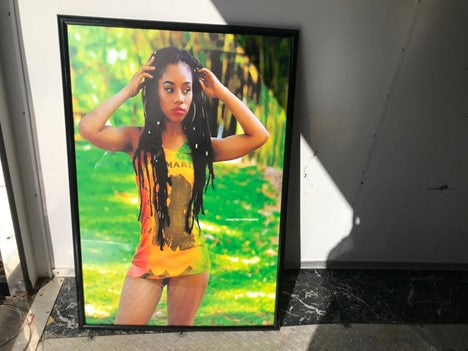 POSTERS & CANVAS